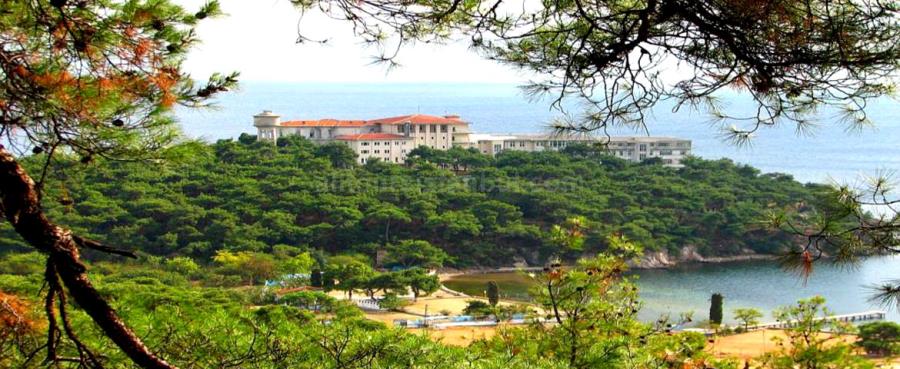 All tours island tour.jpg