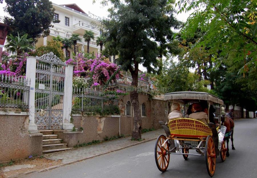 all tours istanbul island tour.jpg